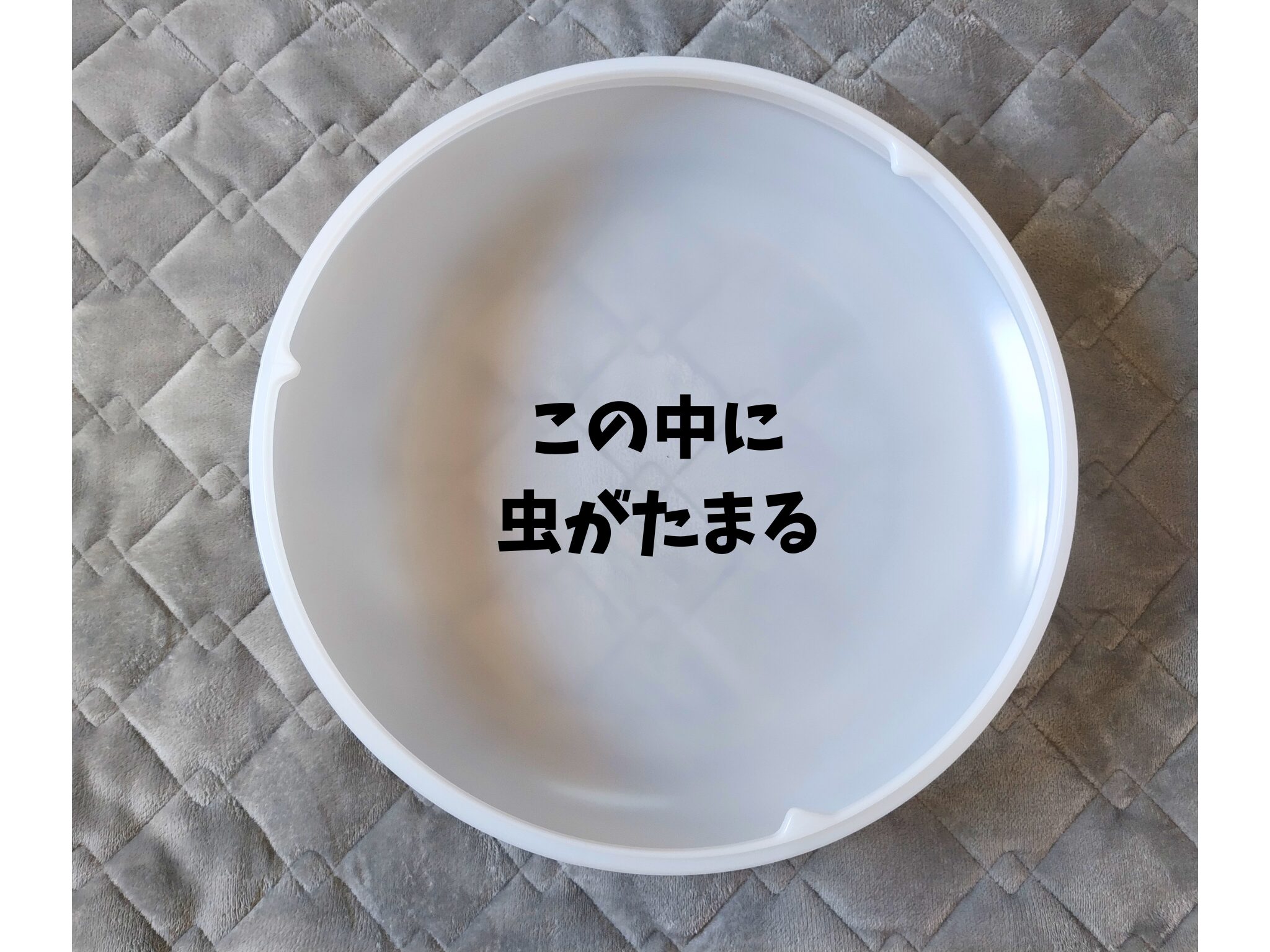カバーの中に虫がたまった様子